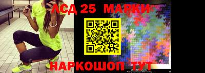 крисы Будённовск