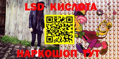 крисы Будённовск