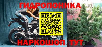 крисы Будённовск
