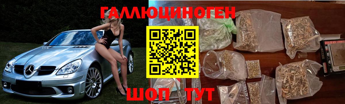 Галлюциногенные грибы Magic Shrooms  Вход с VPN  Галлюциногенные грибы GOLDEN TEACHER  Светлоград 