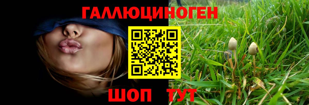 Псилоцибиновые грибы GOLDEN TEACHER Светлоград