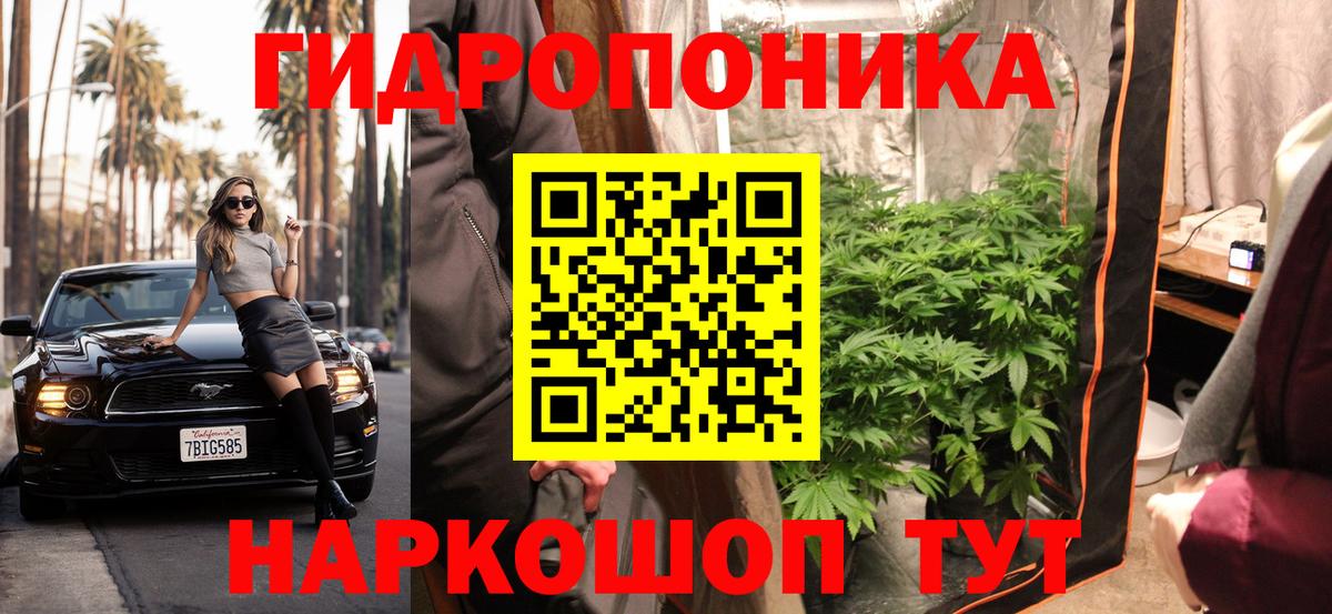 Бошки Шишки OG Kush Светлоград